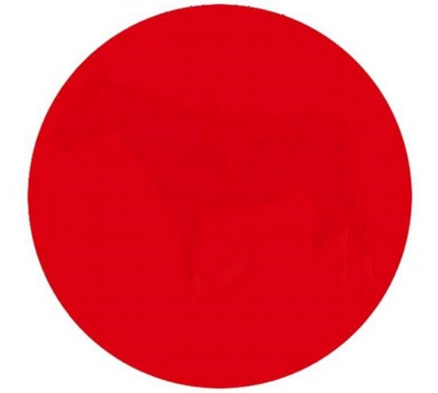 OPTIČKA ILUZIJA: Što se nalazi unutar crvenog kruga?