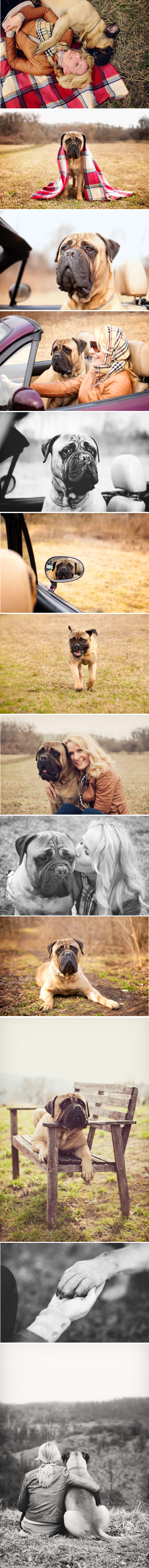 Posljednje fotografiranje s najdražim psom koji je obolio od raka