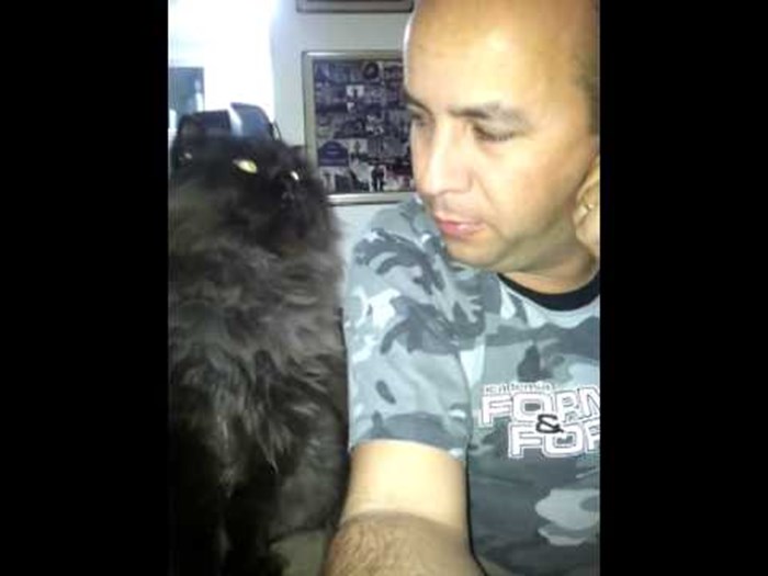 VIDEO: Kad misli da ga nitko ne vidi iz opakog mačka pretvara se u mazu