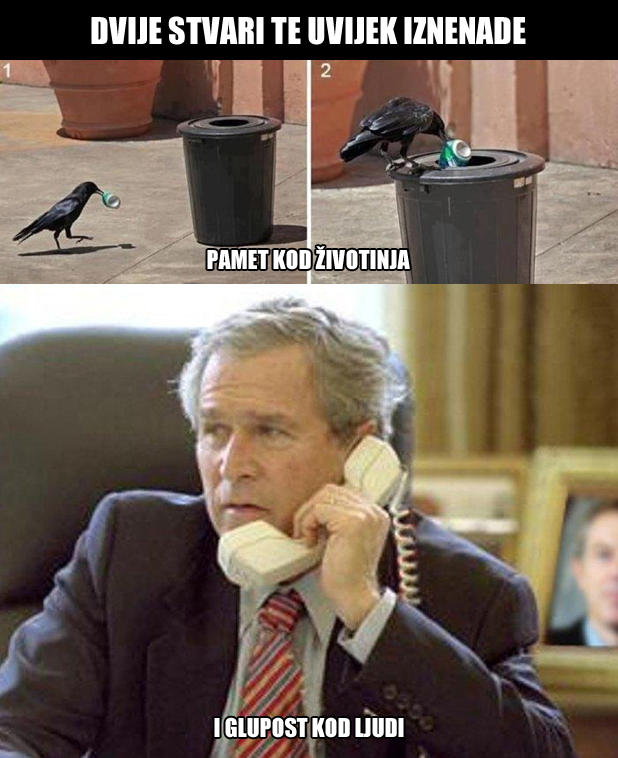 Dva najveća iznenađenja na svijetu su..?