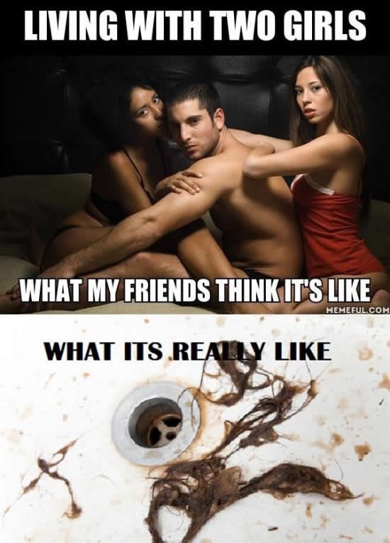 Kako je zapravo živjeti s dvije cimerice