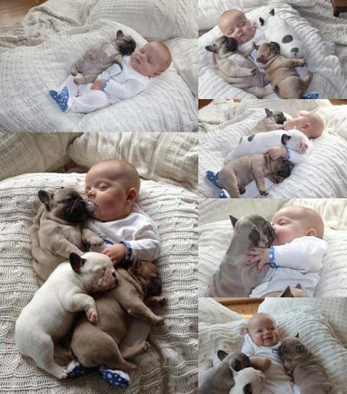 Uspavani bebolino voli svoja tri najdraža psića