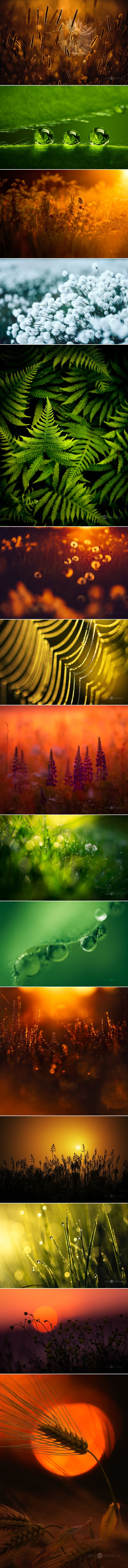 Prelijepo, ali kratko, ljeto u Finskoj