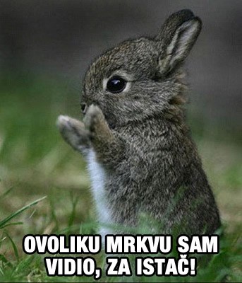 Slatki zeko priča "lovačke" priče