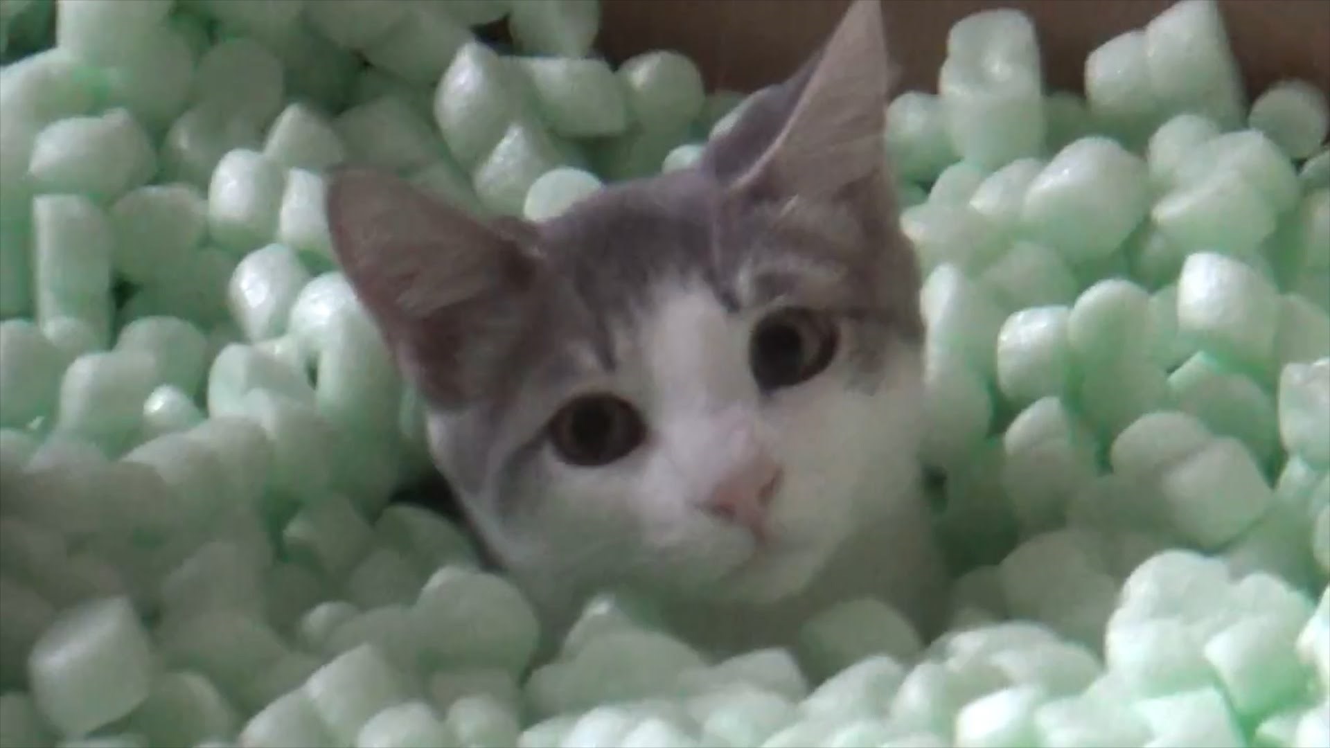 VIDEO: Skupe igračke su super, dolaze u najboljim pakiranjima