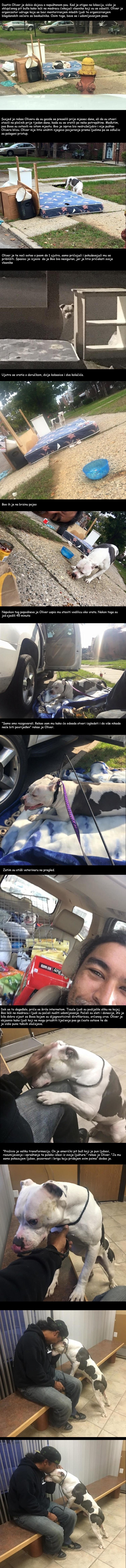 Napušteni pas  čekao vlasnike mjesec dana ispred kuće