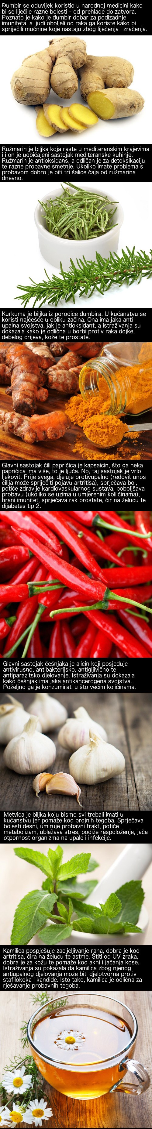 Ove namirnice pomažu u borbi protiv bolesti i raka, a ima ih svako kućanstvo