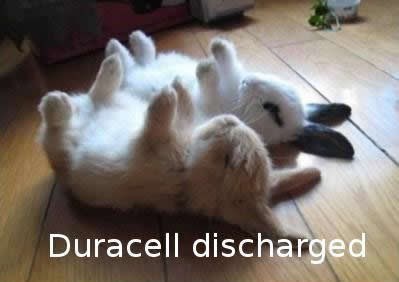 Zečekima se ispraznile baterije