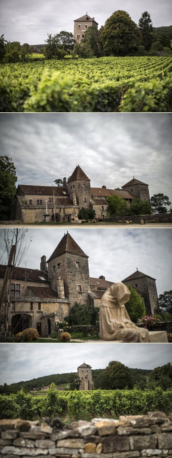 Francuska idila: Dvorac okružen vinogradima