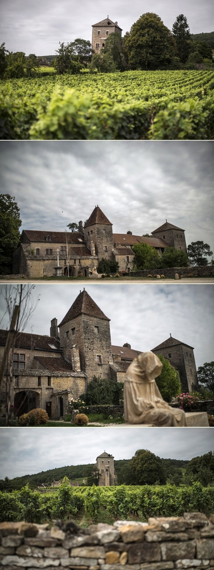 Francuska idila: Dvorac okružen vinogradima
