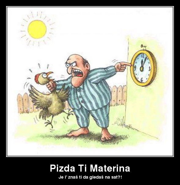 Pijetao "ružio" sinoć pa profulao zoru