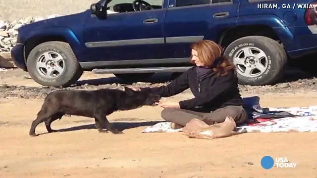 Dvije godine je izgubljen lutao i umro bi sam na smetlištu da nije bilo njih!