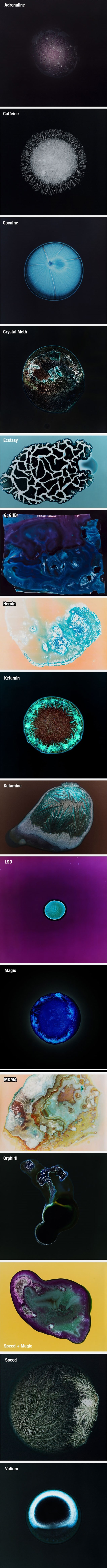 Galerija: Droga na fotografskom filmu