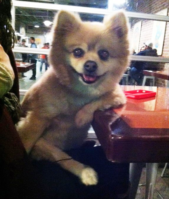 Evo, na sokić i čašicu razgovora, ti?