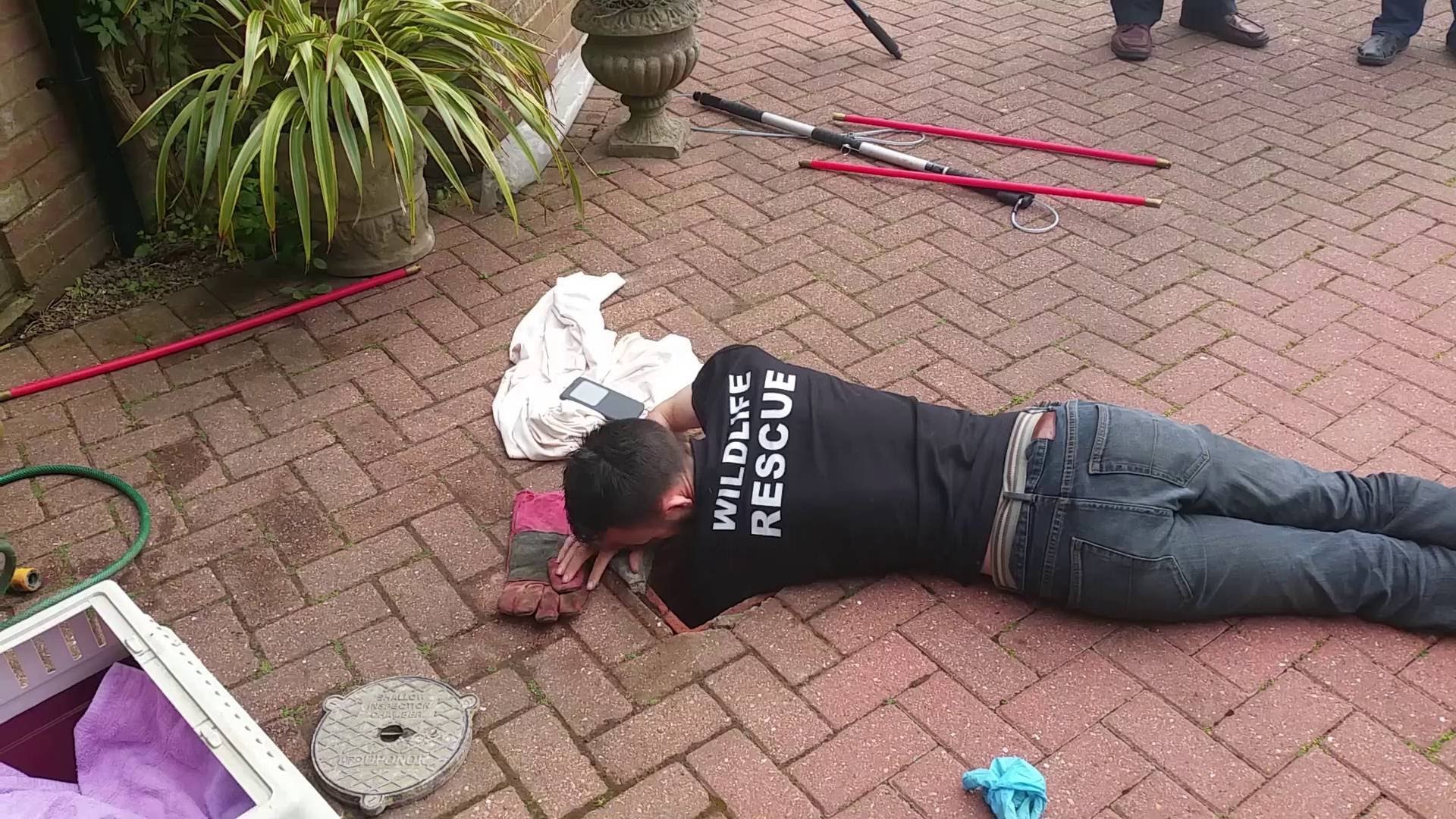 Mama lisica strpljivo čeka da joj spasioci vrate jedinog mališana