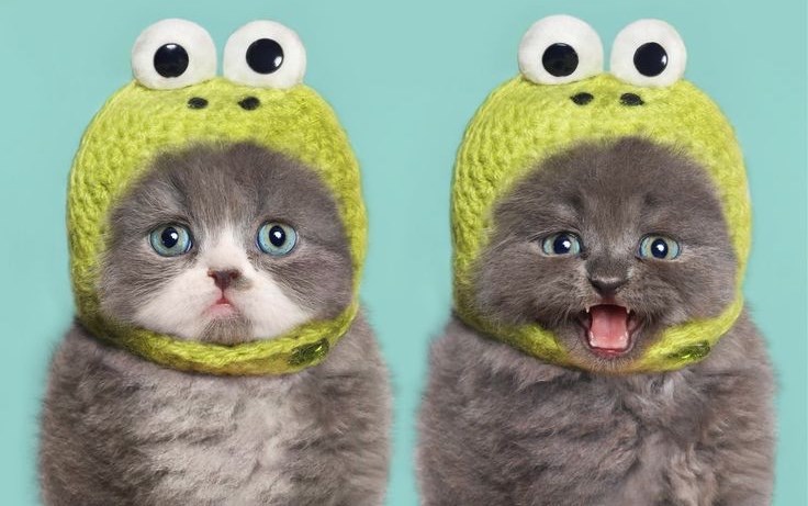 I ona se nada kakvoj čokoladnoj pisanici