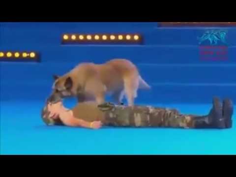 Pas naučio dati umjetno disanje i masažu srca