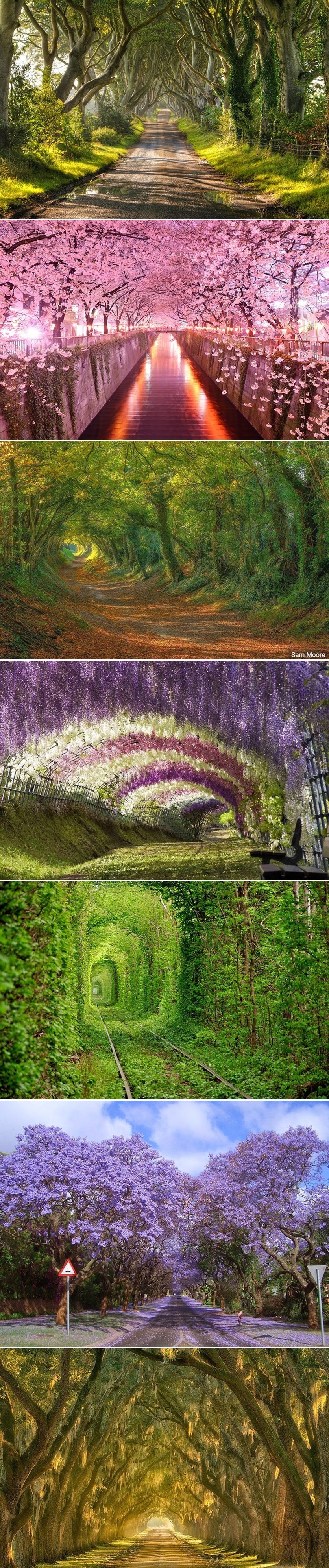 Treba nam više ovakvih, a manje betonskih tunela