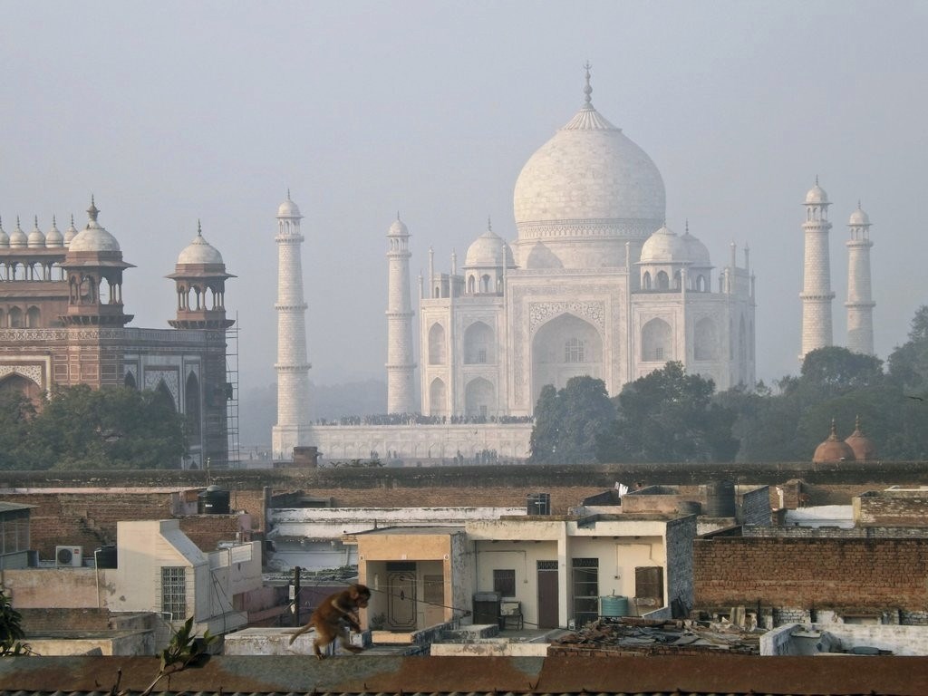 Ma tko to skakuće krovovima? Nedostaje još samo Aladin!