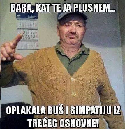 Tradicionalna hrvatska obitelj?