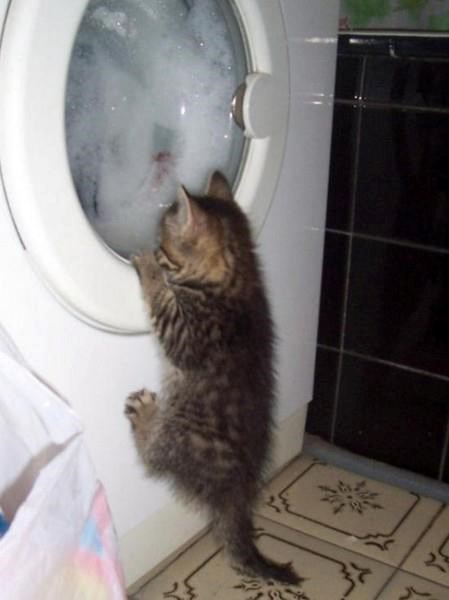 Blejanje u centrifugu kad si mali