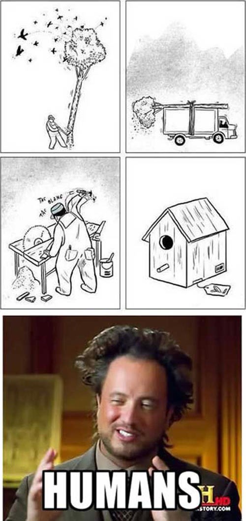 Ljudi se prave pametni, a budale smo da boli glava!