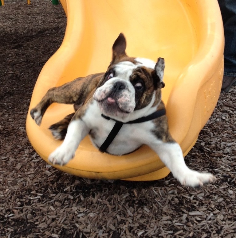 Juuuuuu-huuuuu, tobogan!