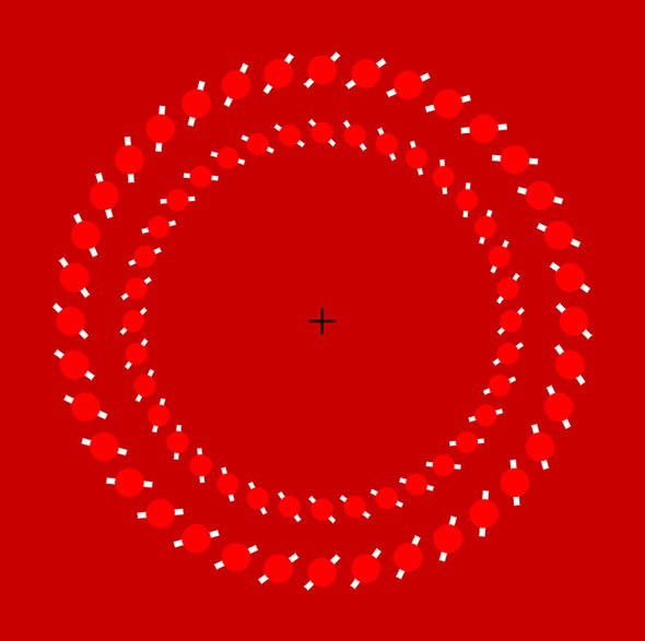 Umom pokrenite krugove!