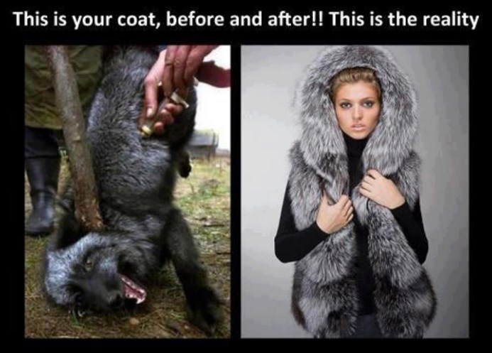 Ovo je tvoja bunda prije i poslije: Uživaš u mučenju i smrti