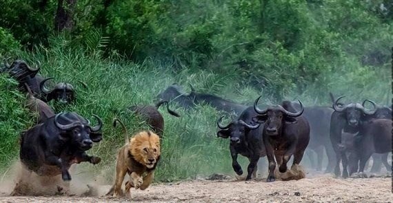 SHIT! SHIT! SHIT! SHIT!