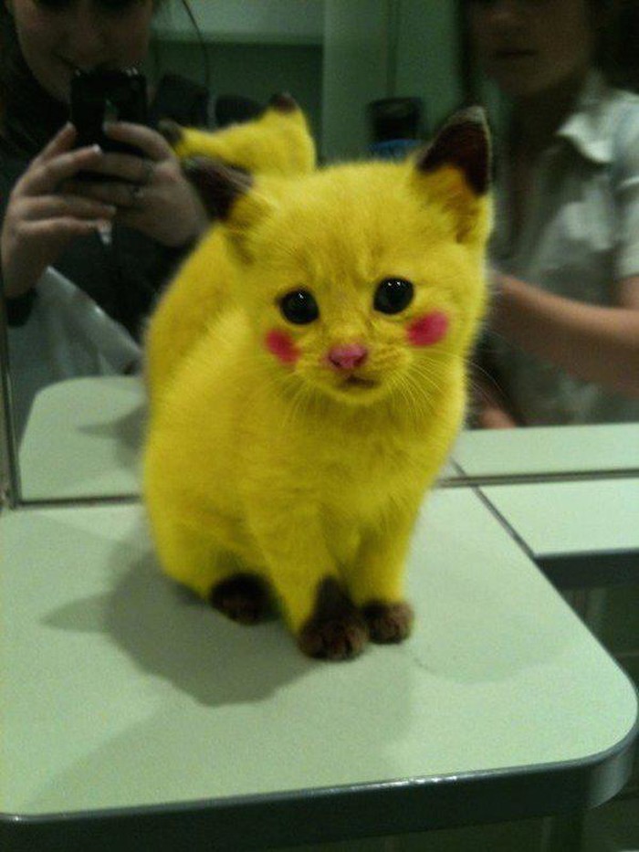 Pikamaca 