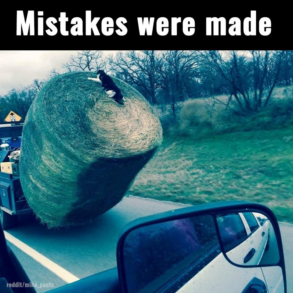 Ova mačka ima više od 9 života