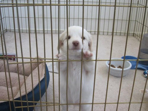 Nećeš me valjda ostaviti i otići na posao, jelda da ne?