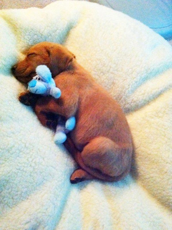 Ovako spavaš kad si potpuno bezbrižan i sretan