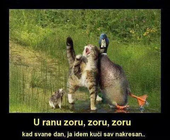 Trio "Novi promili"