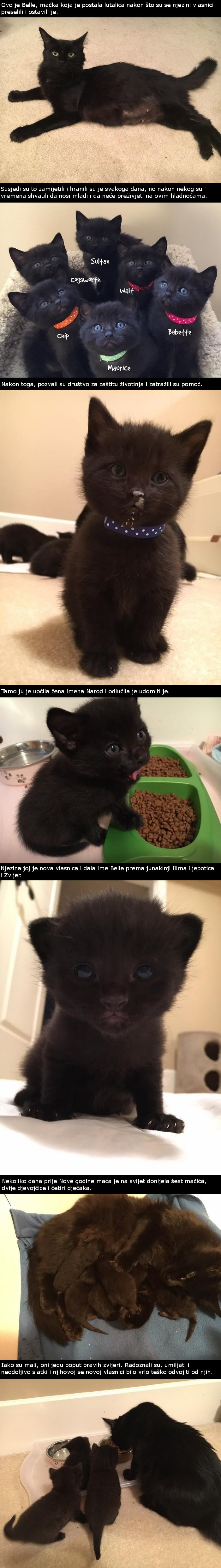 Mislili su da su spasili samo jedan, no oni su spasili čak sedam života