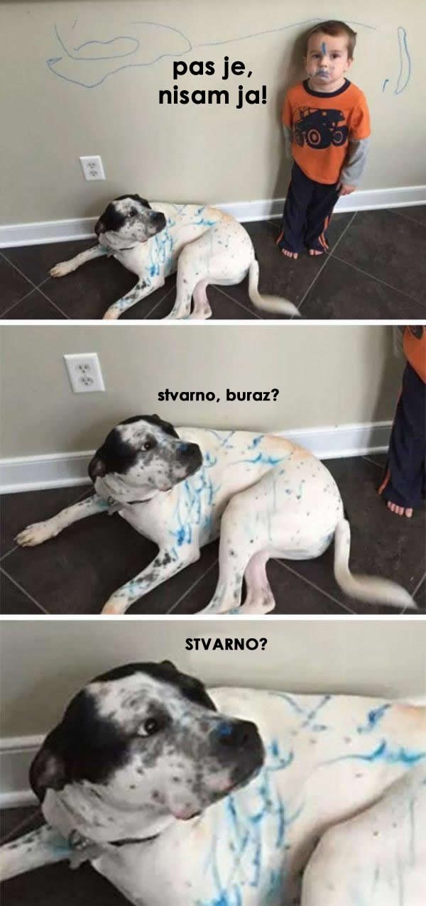 Kad ni pas ne vjeruje koliki si mali lažov
