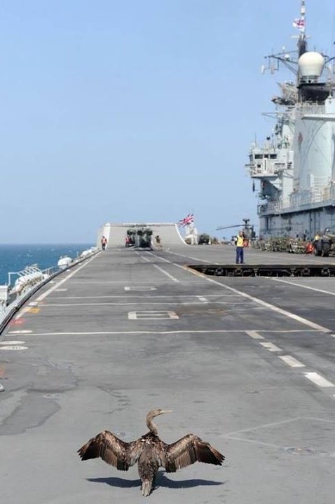 Alo, toranj, dozvolu za polijetanje molim!