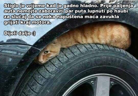 Spasi život - dovoljna je sekunda