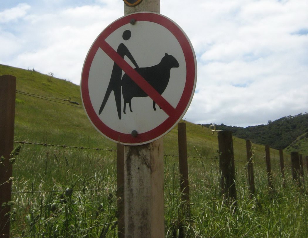 Zabranjeno seksati ovce: Znakovit znak brani ljubav