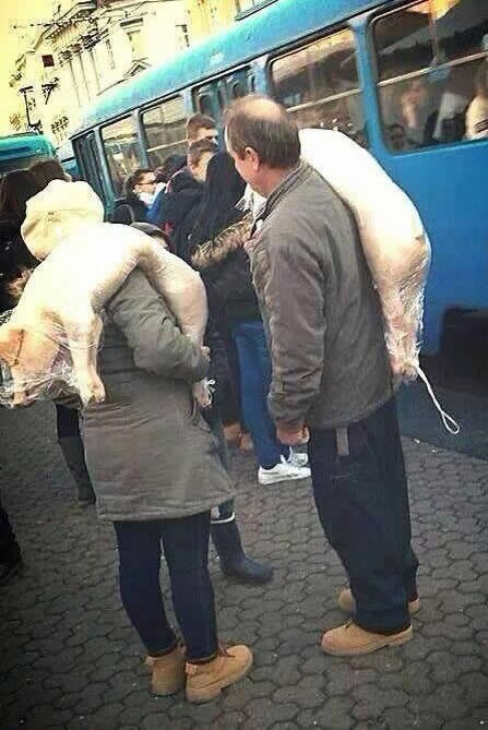 U Hrvatskoj se loše živi? Pa, ako si odojak onda da..