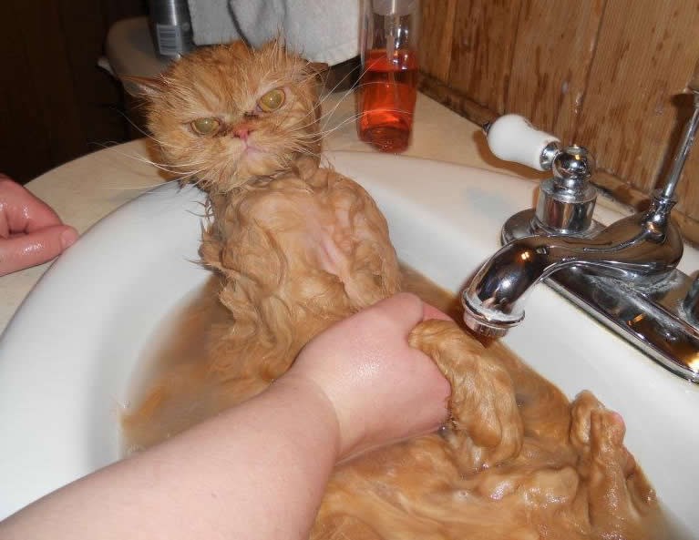 Čovječe, platit ćeš, znam di spavaš!