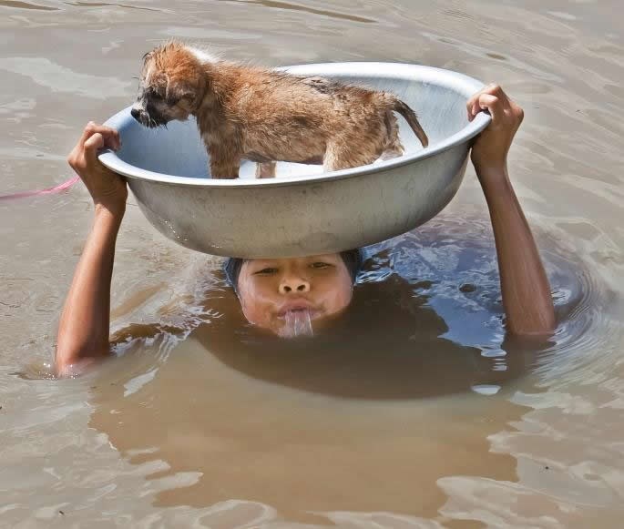 Nesebična ljubav za malenog prijatelja: Spašavanje psića
