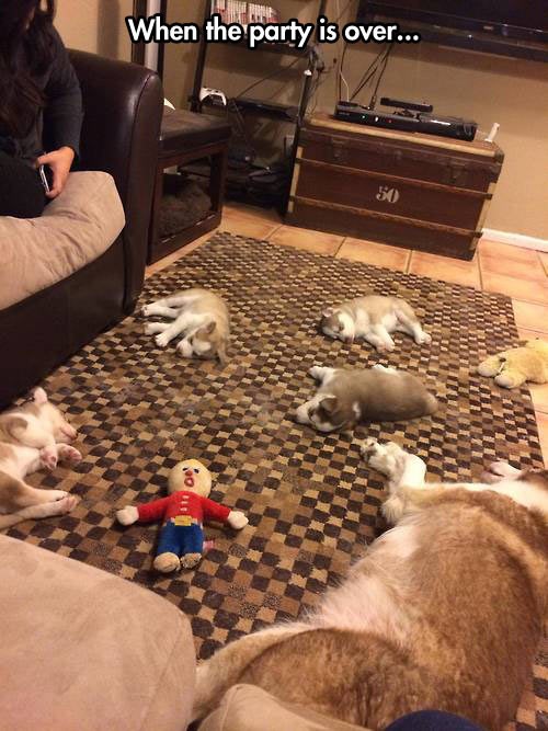 Nakon žestokog partija..