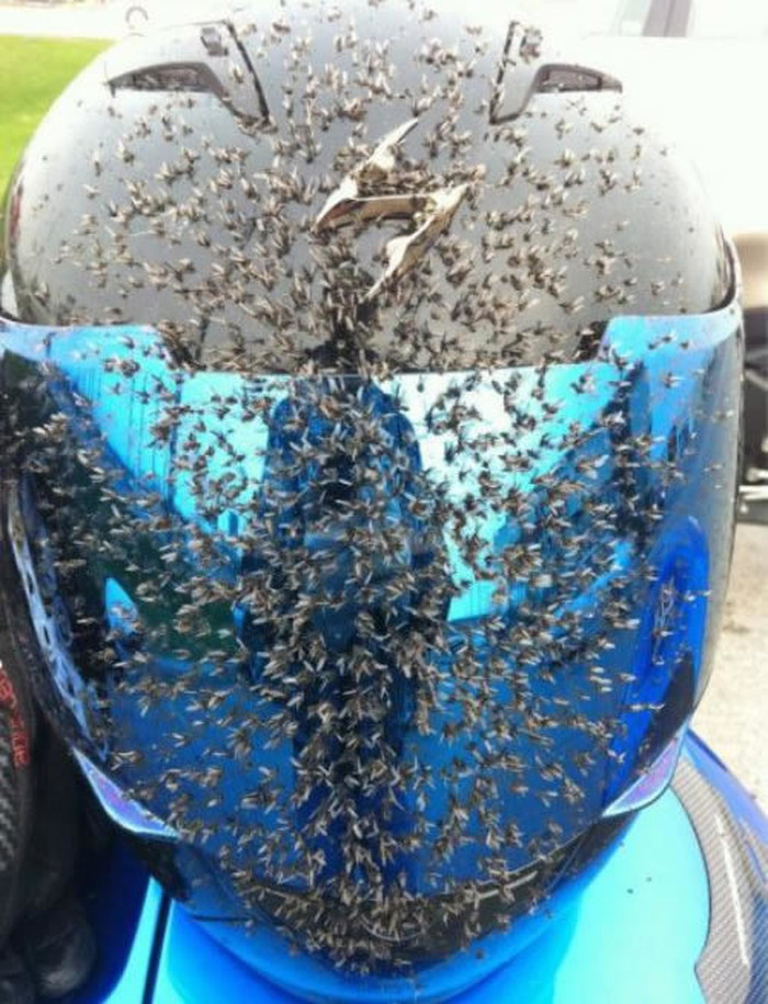 Gadne nevolje motorista: Kad si gladan, samo digneš vizir