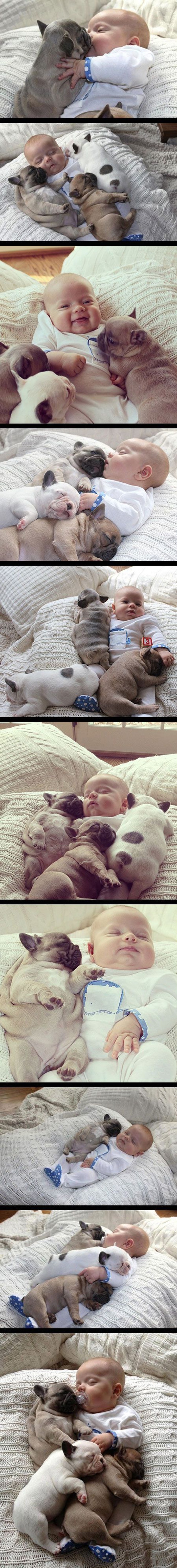 Awwwwwww: Bebač prekriven psićima, spavaju k'o jedan