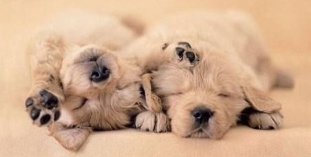 Najslađi je spavanac u dvoje