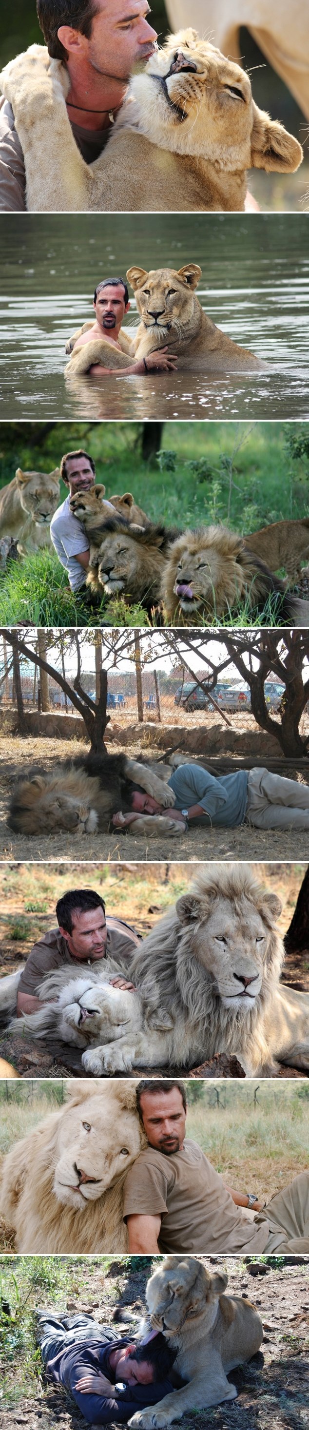 Šaptač lavovima i njegovi "ljubimci"