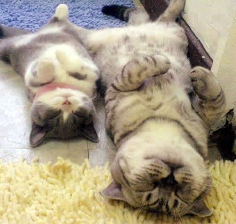 Petak, podne, nema te više, vikend!!!