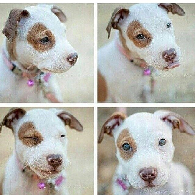 Kad ljepotica namigne